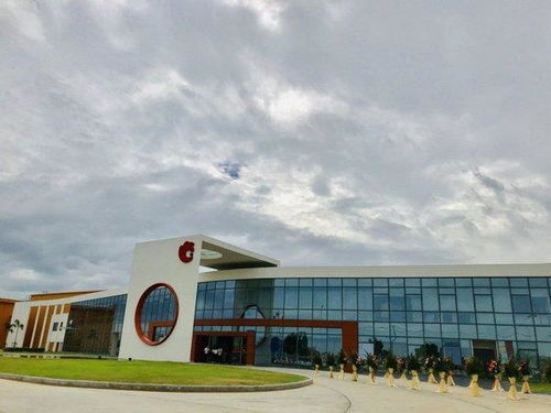 洽洽開啟堅(jiān)果品牌全球化新征程，今娛生活引領(lǐng)健康休閑新風(fēng)尚